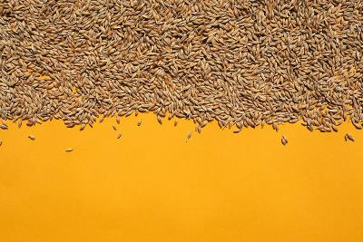 广州领速物流有限公司简单说明