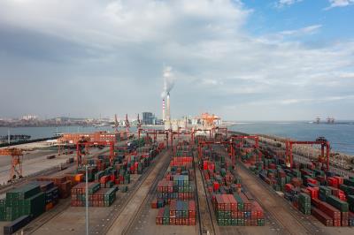 深圳市而立国际物流有限公司简单概要