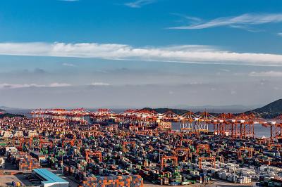 深圳市捷程兴国际物流有限公司简单资料