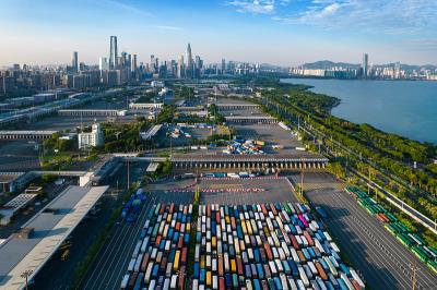 深圳市雨通畅达物流有限公司有关资料