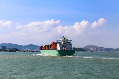 深圳市嘉鸿国际物流有限公司部分概要