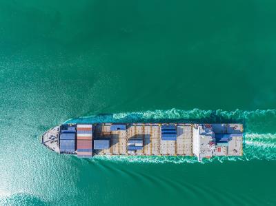 东莞市安鹏物流有限公司简要基础数据