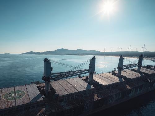 女子遛狗时被飞机撞击脊柱骨折!