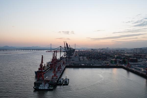 【十年老牌】集运中的平民“劳斯”，新加坡海运340/方，注册送100元优惠券！女神节寄件不踩雷！