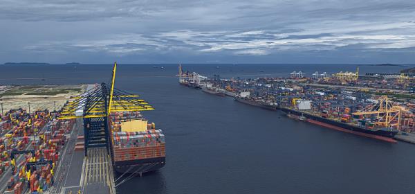 新加坡海运散货哪家好