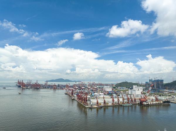 海运货运到新加坡多久