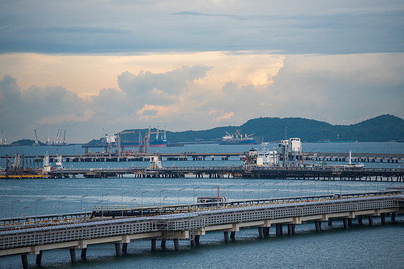 新加坡空运植物有哪些