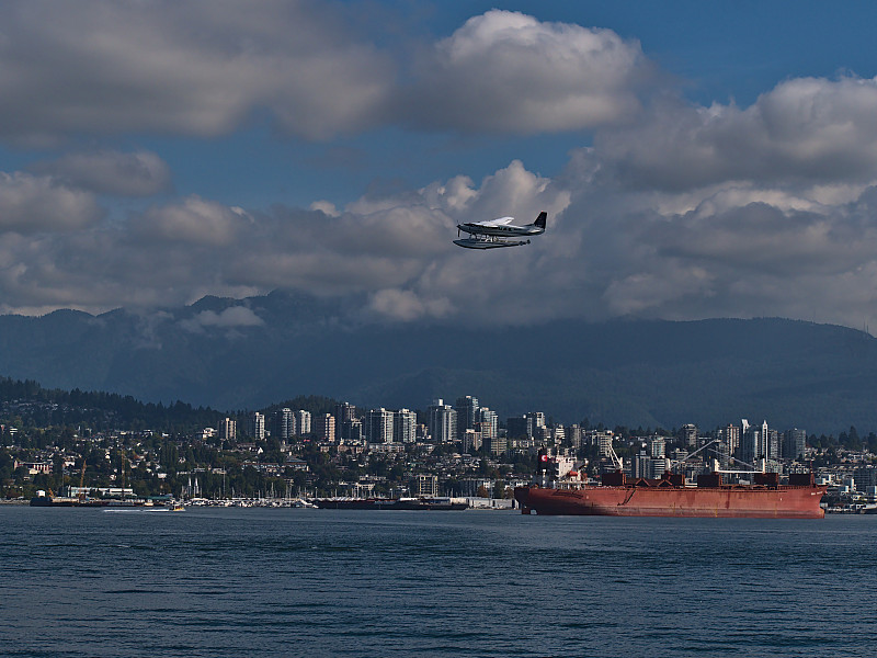 宠物空运新加坡多久