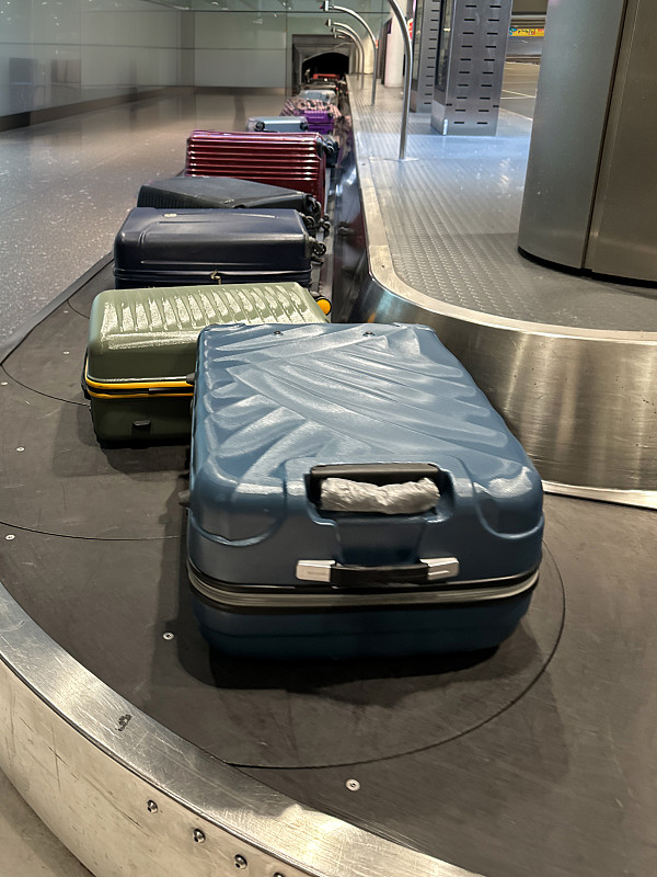 新加坡空运虾皮价格多少