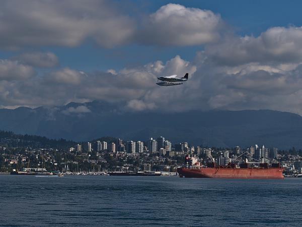 宠物空运新加坡多久