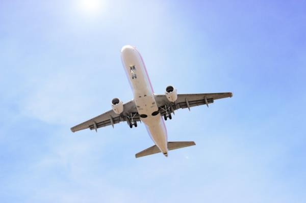 甘蔗空运新加坡要多久