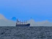 物品伸缩杆从上海市选择海运送货抵达日本