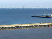 货品缅茄木经温州市采用海运运输抵达沙特阿拉伯——延布