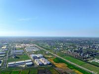 东莞市新森林物流有限公司简单说明