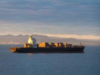 东莞市速优物流有限公司部分资料