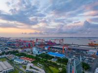 物品白杨木经北京市采用轮船货代至几内亚——马林法拉