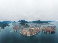 宁波市至喀麦隆——巴图国际物流公司合作