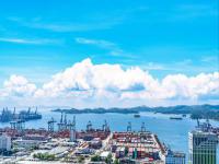 厦门星美国际物流有限公司对应材料