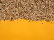 广州领速物流有限公司简单说明