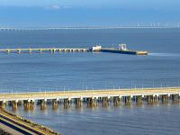 货品缅茄木从唐山市采用海运运送至印度尼西亚——巴东