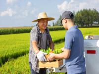 在日常货运当中FBA头程物流收费项目有哪些