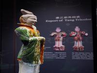 深圳市明淮物流有限公司相对应的参考资料