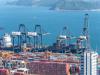 深圳市独行侠国际物流有限公司相关的参考资