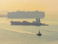 商品树胶经南京市采纳轮船快递到立陶宛