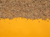 广州领速物流有限公司简单说明