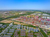 深圳市极风国际物流有限公司
