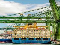 深圳市兴东源物流有限公司简单概要