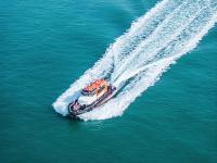 物品榆木从厦门市选择轮船运输到日本