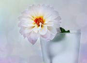 买8个中国桥吊,交3个亿进口关税!美国港口因