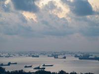 中山市朋诚物流有限公司相关概要