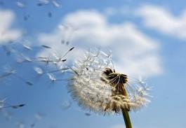 10月日美货柜出口下降8.6%