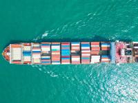 越南侦破榴梿出口违规大案17人涉贿赂及伪造文件被诉