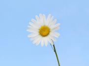 或遭百万罚款与禁令!该国港口限制以色列相