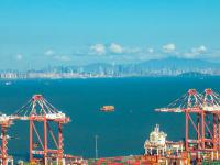 货品谷物粉从青岛市使用轮船快递至几内亚——博法