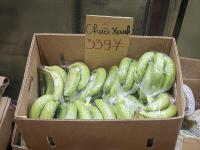 广州市安博物流有限公司部分说明