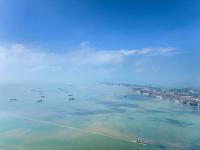 物品亚麻籽油经厦门市选取空运配送抵达日本